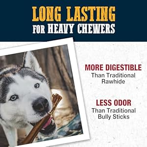 Cadet Bully Hide Sticks 10 Inch 4 Pack  Cucciolini Doodles Cadet bully hide sticks 10 inch 4 pack   cucciolini doodles