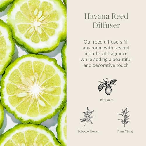 Archipelago Botanicals Havana Reed Diffuser, 7.6 fl oz by Archipelago Botanicals - Used condition - Image 2