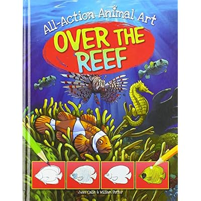 Over the Reef