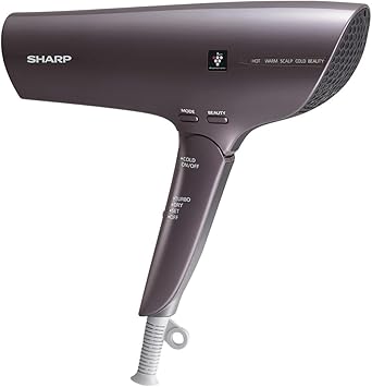 シャープ プラズマクラスタードライヤー IB-RP9