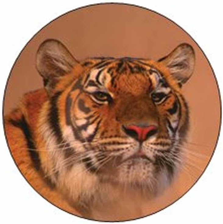 Siberian Tiger Face Stickers - Gift Bag or Envelope Seals - Animal Theme Stationery Design - Party Favor Supplies - Set of 24