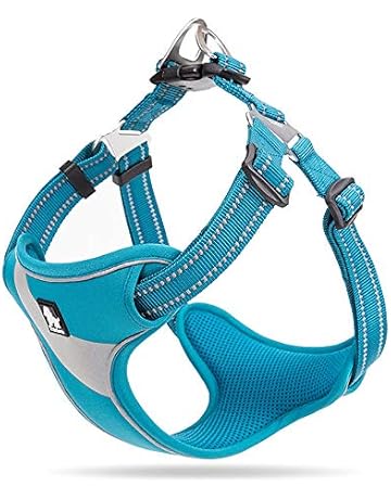Light blue dog harness Clearance