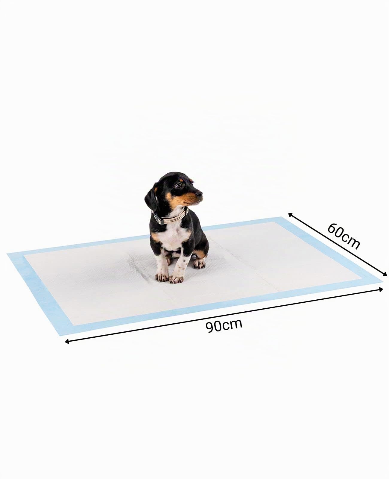 lionto Alfombrilla de Entrenamiento para Cachorros, 6 Capas con Tiras Adhesivas, 100 Unidades 60x90 cm, a Prueba de Fugas y Alta Capacidad de absorción para Animales Enfermos e incontinentes, Azul