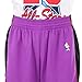 Mitchell & Ness NBA Swingman Shorts Raptors 99