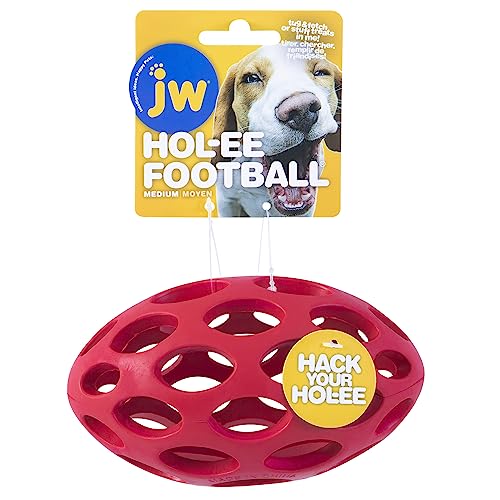 JW Pets JW43119 Hol-ee Football Medium