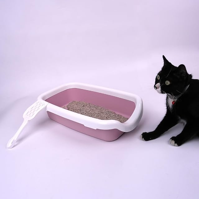 Foto 2 de 8 de Arenero Gato Mediano Bandeja Higiénica Arenero Gatos Gato Caja De Arena Bandeja Arena para Gatos 47x27x11cm…