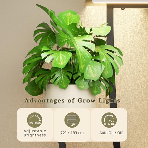 Image of Plant Stand Indoor with Grow Lights - 10 Tiered Tall Plant Shelf Indoor, 59 inch Large Plant Stands for Indoor Plants, Metal Corner Flower Holder Rack Display for Living Room Patio Garden Balcony Home