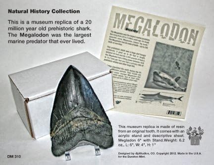 (DM 310) Megalodon 6” with Stand