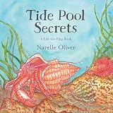 Tide Pool Secrets