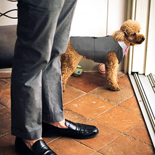 Hund Kleidung Tuxedo, Haustier Mantel Formale Hochzeit Verkleidungen & Kostüme für Hunde Chihuahua Kostüm Formelles Hunde-Smoking(Grau, S)