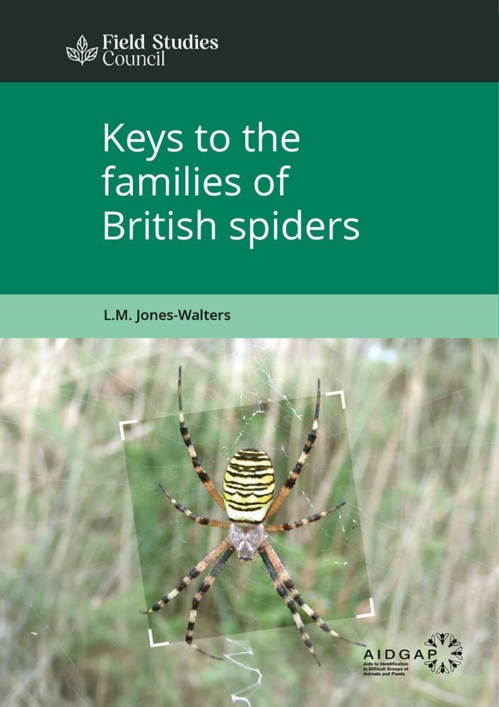 Keys to the Families of British Spiders (AIDGAP)