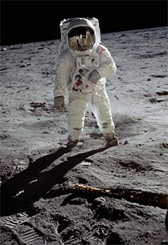 New Horizon Aviation, LLC Aldrin on The Moon