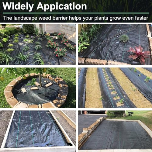Rohuis 4ft x 100ft Weed Barrier Landscape Fabric, Heavy Duty Woven Ground Cover for Garden, Weed Control Mat for Gardening Driveway Landscaping, Weed Blocker Cloth with 20 U-Shaped Securing Pegs
