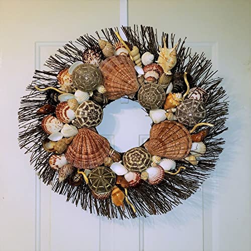 Seashell Wreath On Twig With Exotic Sea Urchins In 6 Designs And 2 Sizes #TOP5