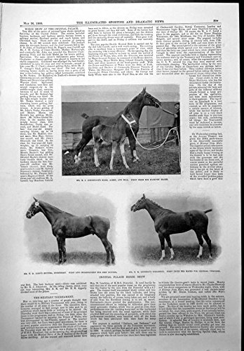 Original old antique victorian print Stampi il