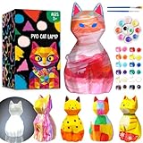【Paint Your Own Cat and Light it Up with All-in-one Art & Craft Kit】FUNBO cat lamp painting kit provides everything you need and bring your cat lamp masterpiece to life. Comes with art supplies, a white kitten lamp and gift-ready packaging, your arti...