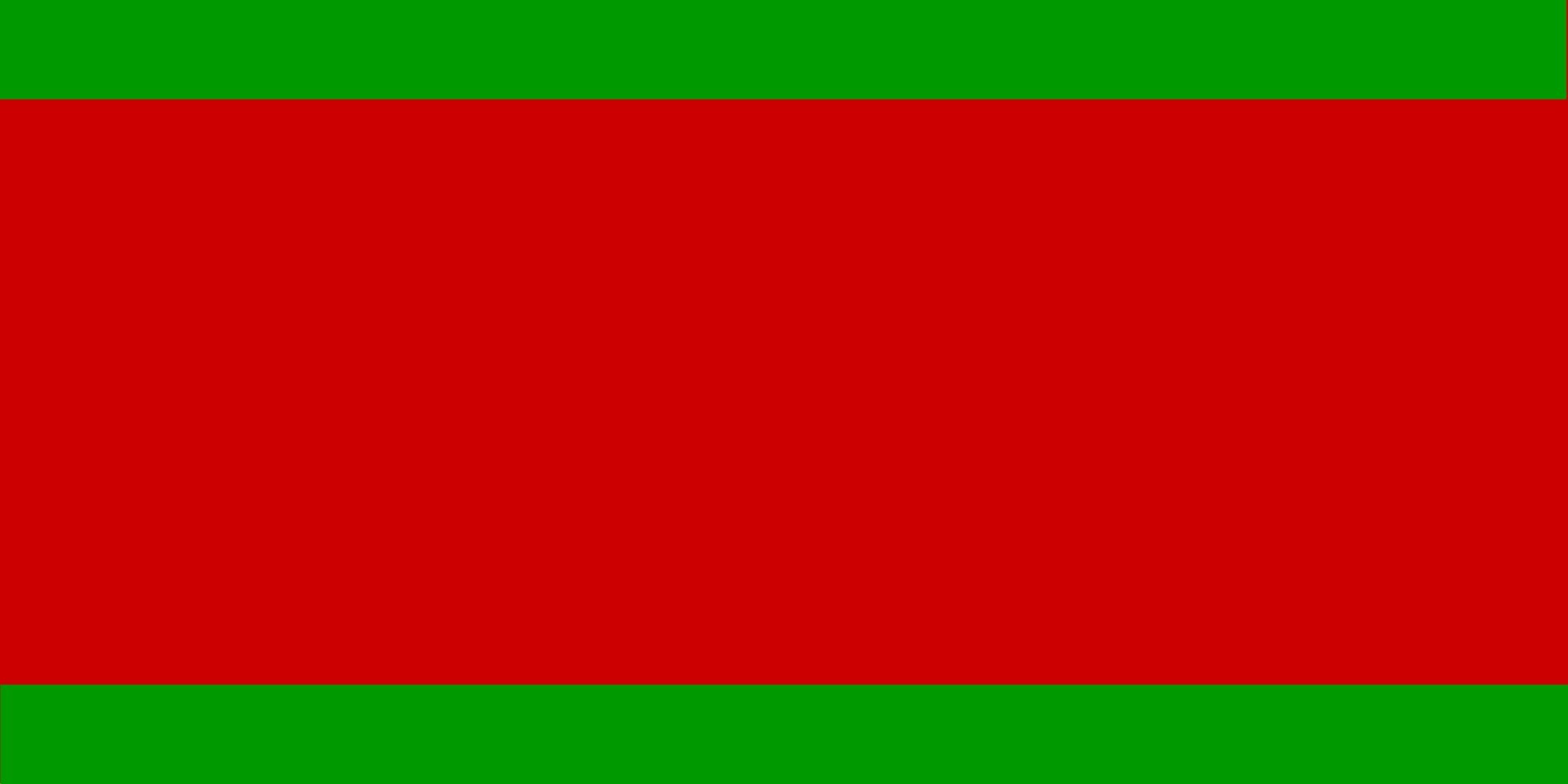 Drapeau Alexandre Loukachenko grand format en tissu résistant pour mât