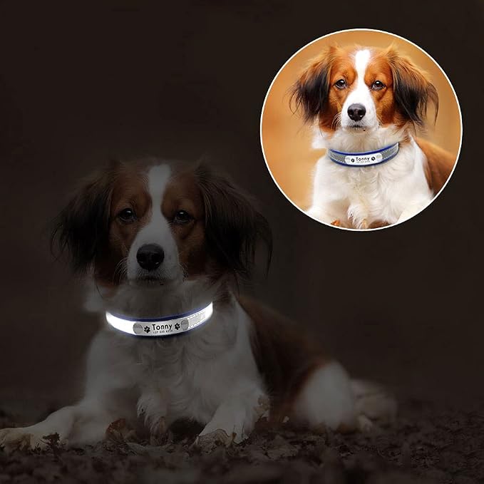 Collar para Perro de Cuero Ajustable con Placa Reflectante Talla L Rosa miniatura 6