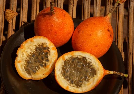 Amazon.co.jp: グランディラパッションフルーツの種（20粒