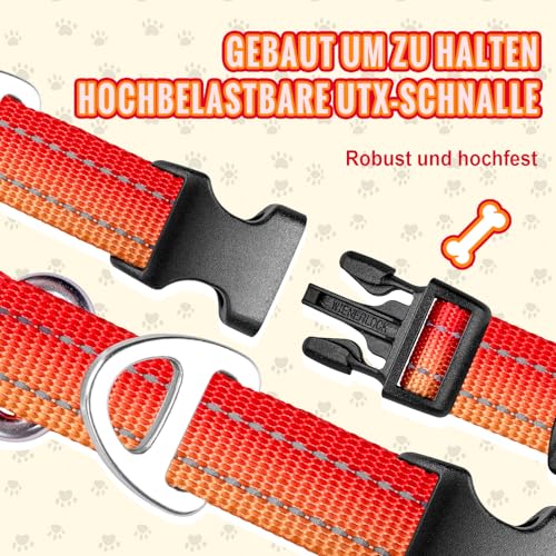 Arblina Martingale Hundehalsband, Reflektierendes Zugstopp Halsband Hunde für Große Mittlere und Kleine Hunde, Nylon Zughalsband mit Stopp für Hunde Whippets, Greyhounds, Saluki, Orange,L