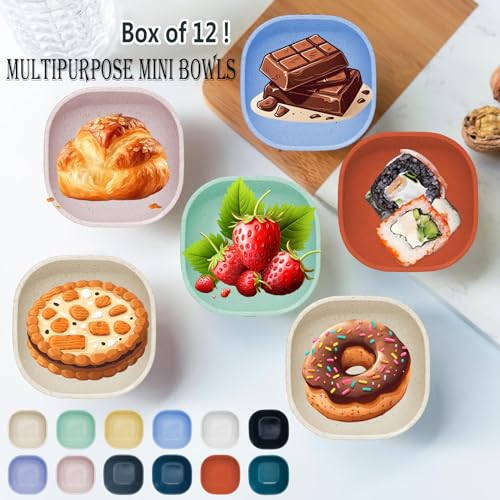 SHECIPIN 12 Pack Mini Square Dinnerware Bowls for Kids 4.5 OZ Unbreakable Wheat Straw Dipping Bowls, Nuts, Candy, or Dips(Multicolor)
