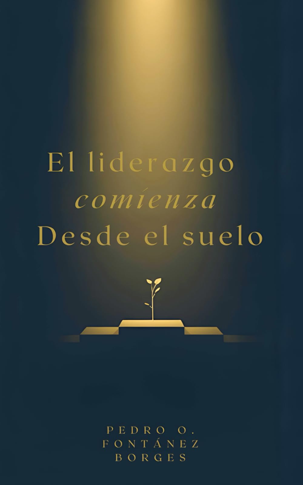 El liderazgo comienza desde el Suelo (Pilares de Liderazgo)