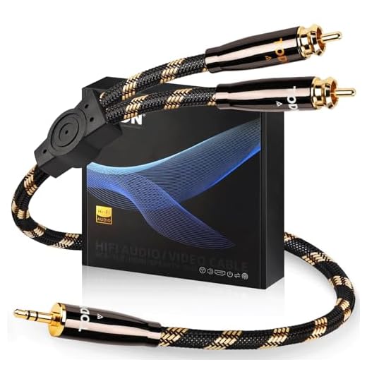 TODN 3.5mm to RCA Audio Cable