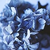 Need you now (instrumental)