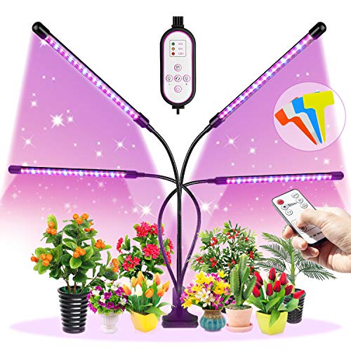 Best grow lights for African violets [2020 Top picks & reviews]