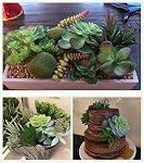Pack of 17 Artificial Succulents Succulent Faux Succulent Floral Arrangement Picks Hanging String of Pearls Plant Three Dimensional Decoration Combination Flocking Realistic Succulents Plants