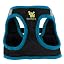 Black and Teal Trim