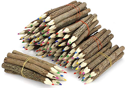Windhorse - Juego de lápices de ramas de árbol tailandés, tamaño extrapequeño, multicolor, paquete de 10 paquetes