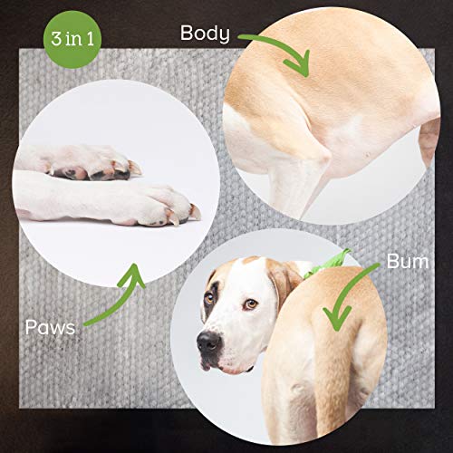 Earth Rated - Pack wipes dog and cat, lavender oil & Dog Poo Bags - 270 Extra Thick Poop Bags For Dogs | Each Lavender Scented Doggy Waste Bag Measures 22x33cm | 100% Leak-Proof Security - Image 5