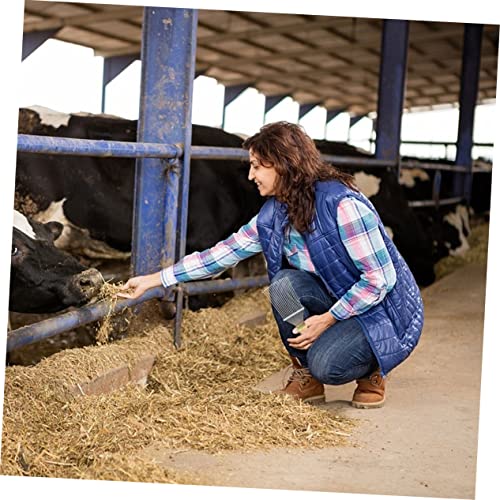 NOLITOY escova de crina embota ferramenta de depilação para animais de estimação escova de corpo de