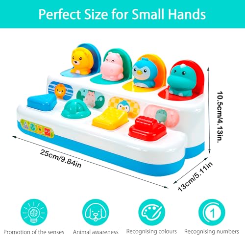 GDJIAJT Pop up Baby Spielzeug ab 12 Monate, Montessori Spielzeug ab 1 Jahr Motorikspielzeug ab 6 Monten Frühe Entwicklung Ursache & Wirkung Lernspielzeug Baby Ostern Geschenk Jungen Mädchen