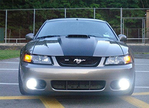 Halo Angel Eye Fog Lights Kit for 1999-2004 Ford Mustang GT SVT Cobra Bumper
