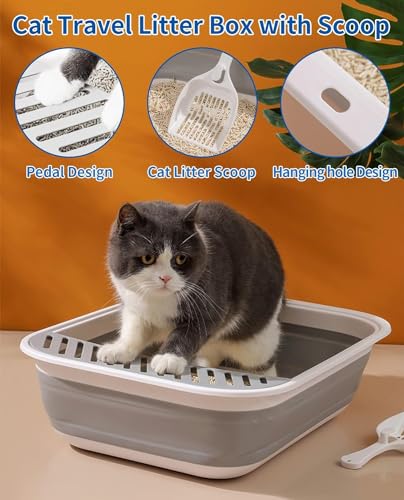 Bac à litière chat âgé avec entrée basse anti-projections