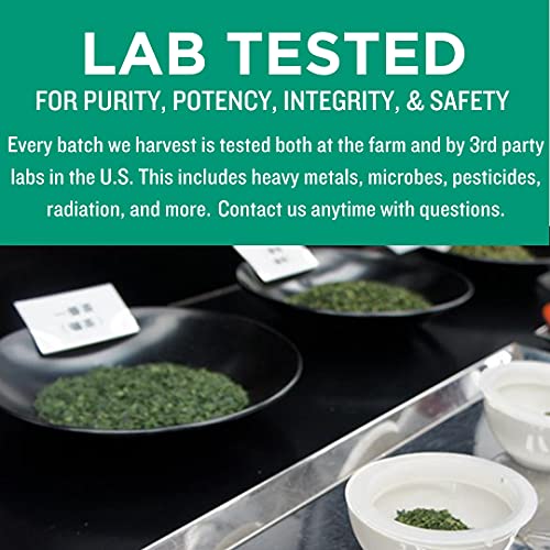 Image of Jade Leaf Artisanal Matcha Green Tea Powder - Authentic Japanese Origin - Late Harvest Ingredient Grade (1 Pound)