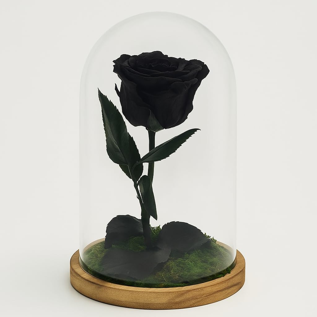 Mundo Eterno| Rosa Preservada Negra en Cúpula de Cristal | Rosa Eterna Natural | Regalo Original | 22x12 cm