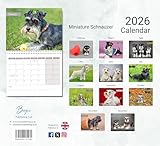 Zoom IMG-1 calendario schnauzer 2026 in miniatura Zoom IMG-1 calendario schnauzer 2026 in miniatura