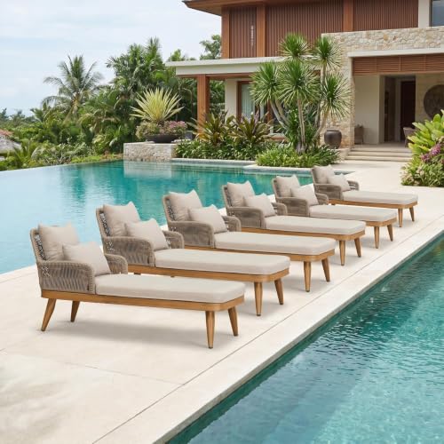 Image of PURPLE LEAF Pool Lounge Chair Dual Pillows and Thick Cushion Aluminum Teak