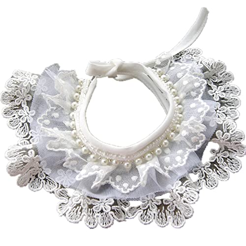 JUNENTER pXJ[t OpXJ[t L p[[X  WG[ efB 킢Lp悾ꂩ  ybg t|Pbg