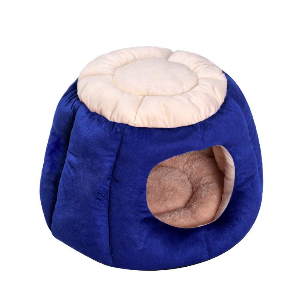 Lit pour chat et canapé bleu pour un sommeil confortable au salon