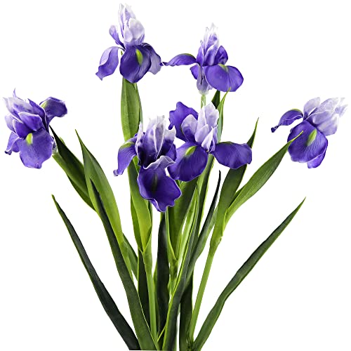 FiveSeasonStuff 6 Long Stems (Dark Purple) Real Touch Artificial Iris Flowers for Home Shop Office Restaurant Wedding Decoration Party DIY Flower Arrangement, Height: 60cm