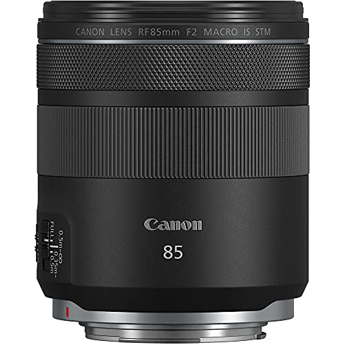 Canon RF 100-500mm lens