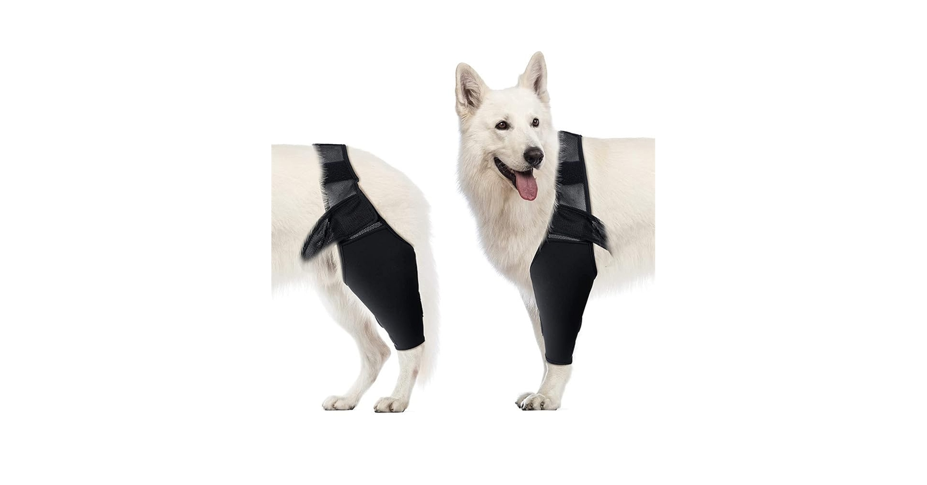 Amazon | Nikkashop 犬 サポータースプリング内蔵 前足後足左右