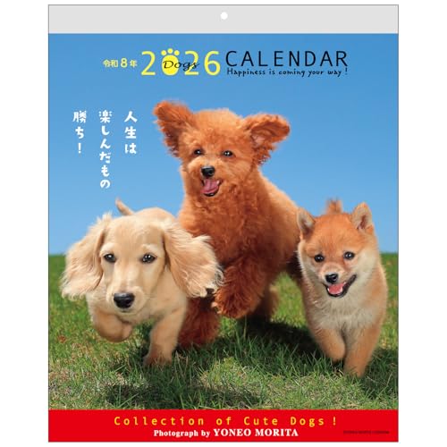 アクティブコーポレーション 2026 カレンダー 壁掛け 森田米雄 メッセージカレンダーDOG 26ACL-09 2026年 1月始まりのサムネイル