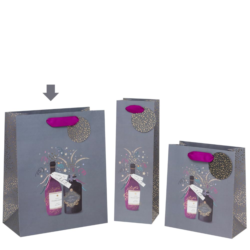 Glick Luxury Large Gift Bag, Time to Celebrate and Congratulations/Graduation,26w x 31.5h x 13.5d cms, Grey & Purple - Image 4