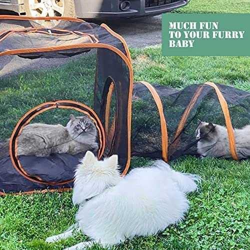 オーダー受付　猫パネル㉗　5/12 Amazon.co.jp: 4-in-1 屋外猫用エンクロージャー 屋内猫用 ポータブル