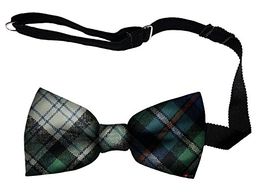 Noeud Papillon Homme Laine Écosse MacKenzie Dress Tartan